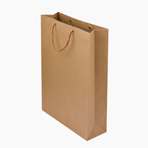 BOLSA DELIVERY 28X28 